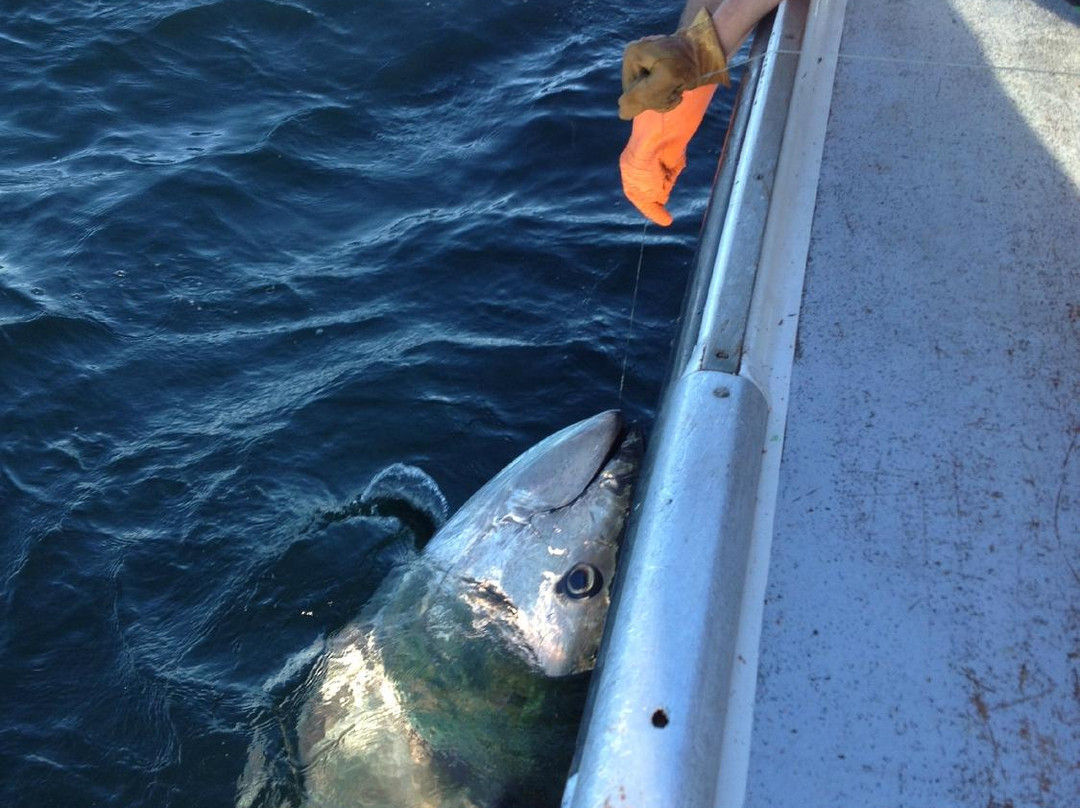 Island's End Tuna Charters -Private Day tours-Tignish必去景点