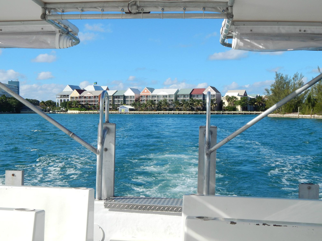 Taino Beach Ferry-弗里波特必去景点