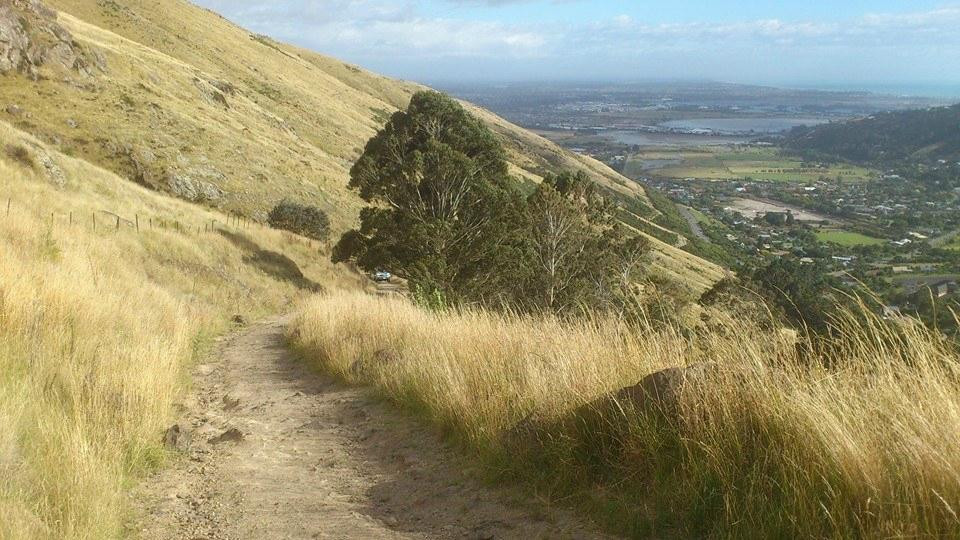 Bridle Path-基督城必去景点