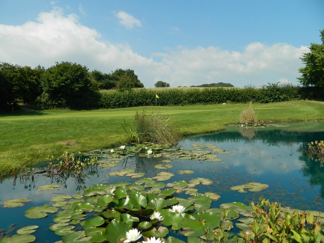 Coed-Y-Mwstwr Golf Club景点图片