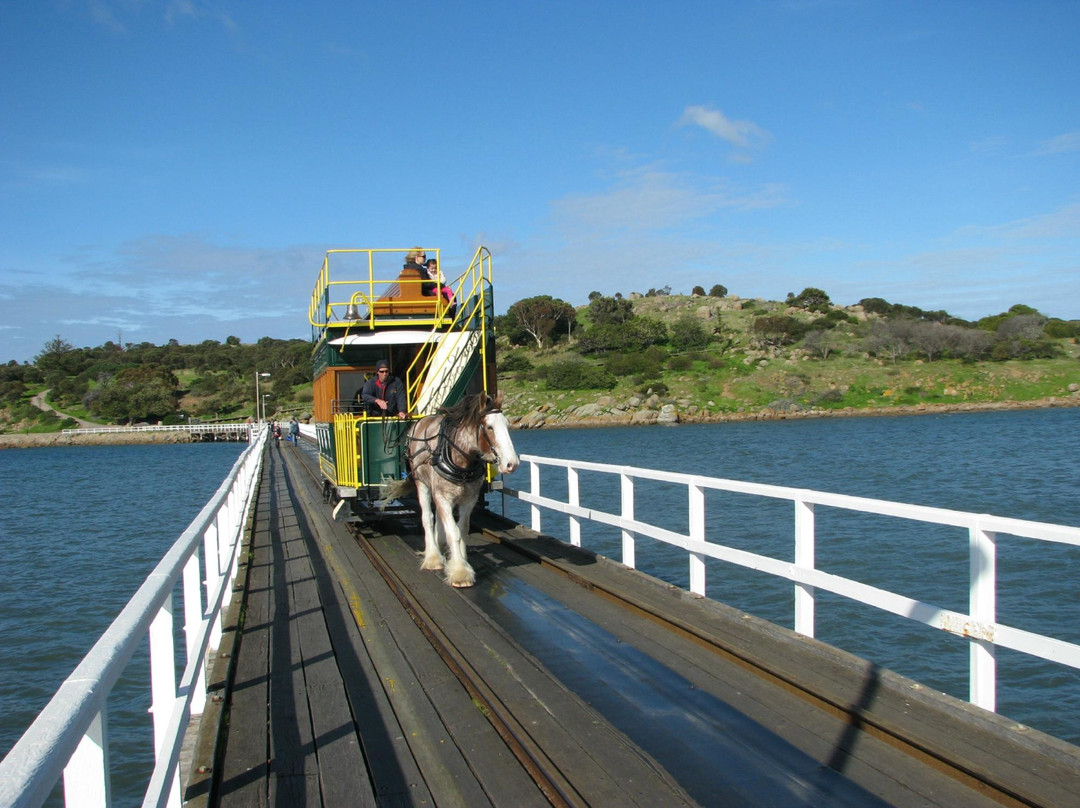 Granite Island-维克多港必去景点