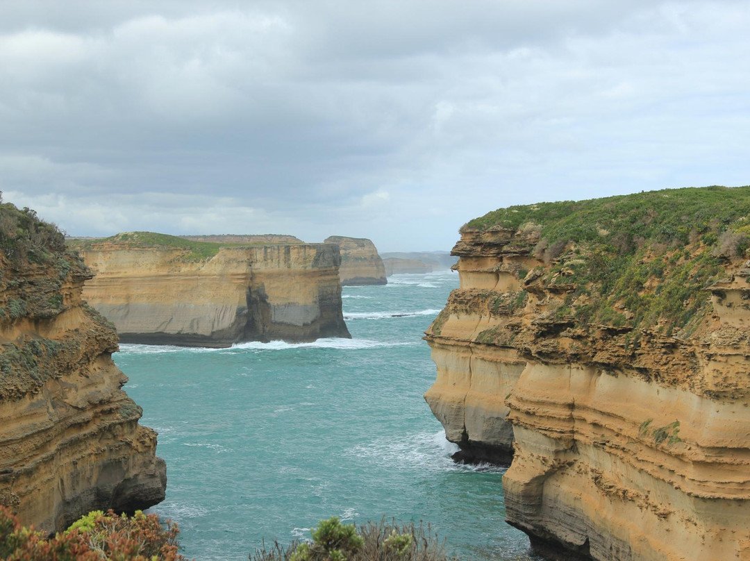 大洋路和坎贝尔港国家公园-坎贝尔港必去景点