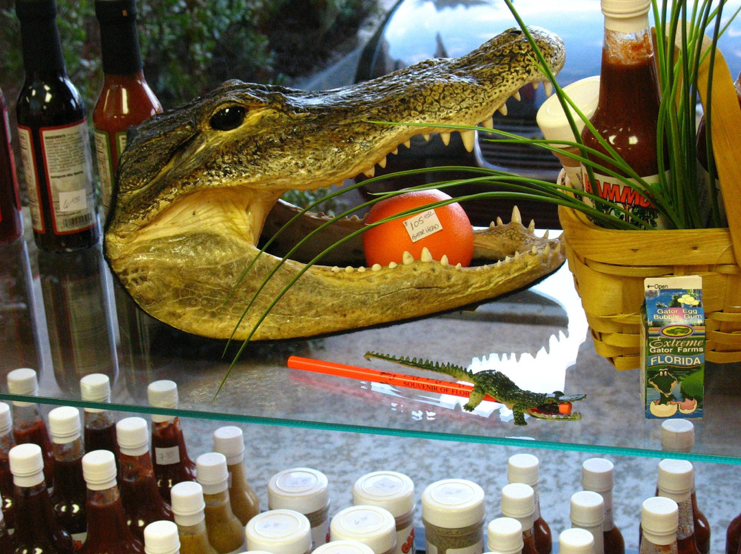 Ambiguous Orange-威尼斯必去景点