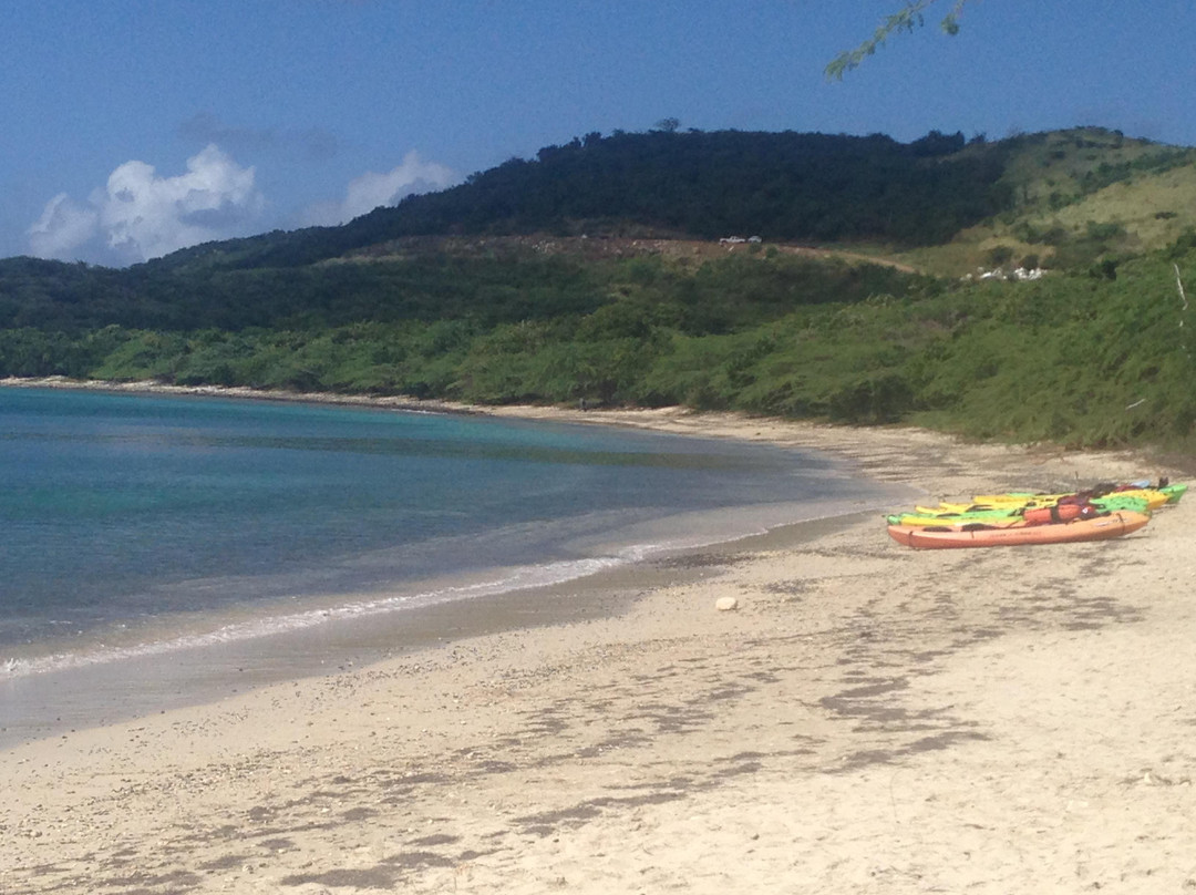 Playa Tamarindo-库莱布拉岛必去景点