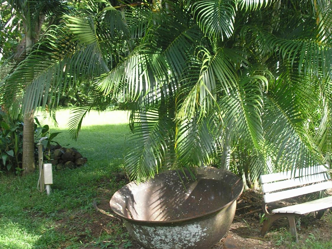 Jessamine Eden Botanic Garden-St. George's必去景点