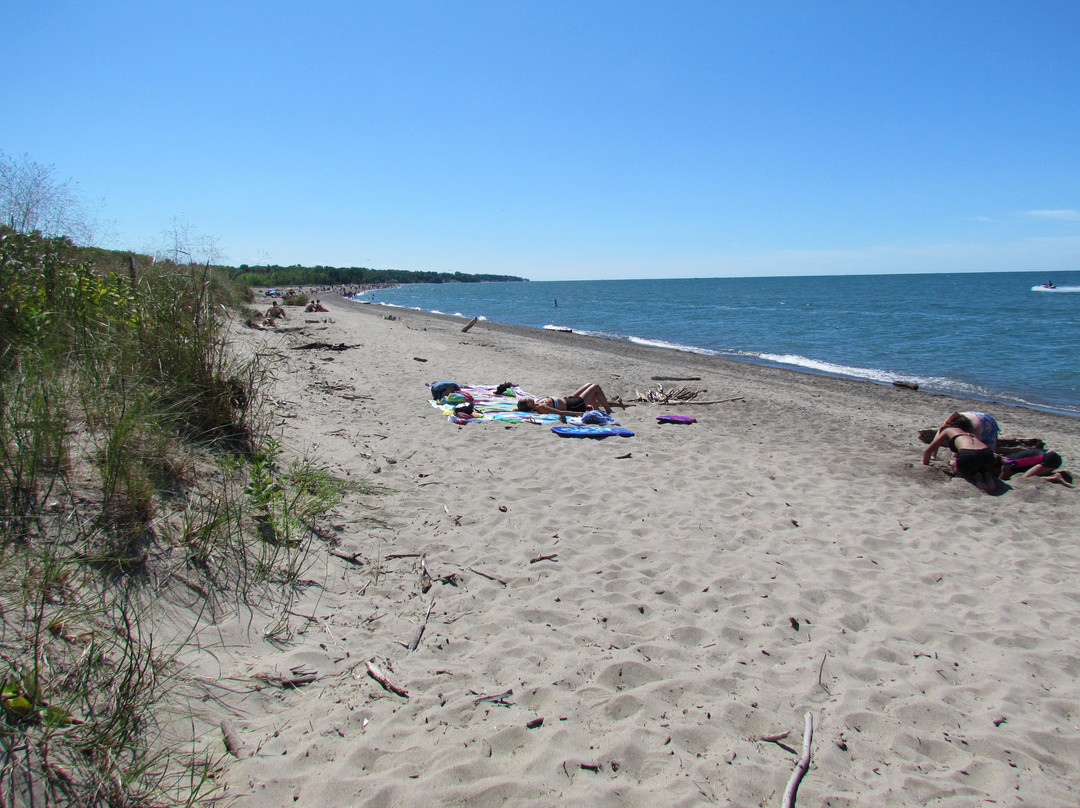 Headlands Beach State Park-Mentor必去景点