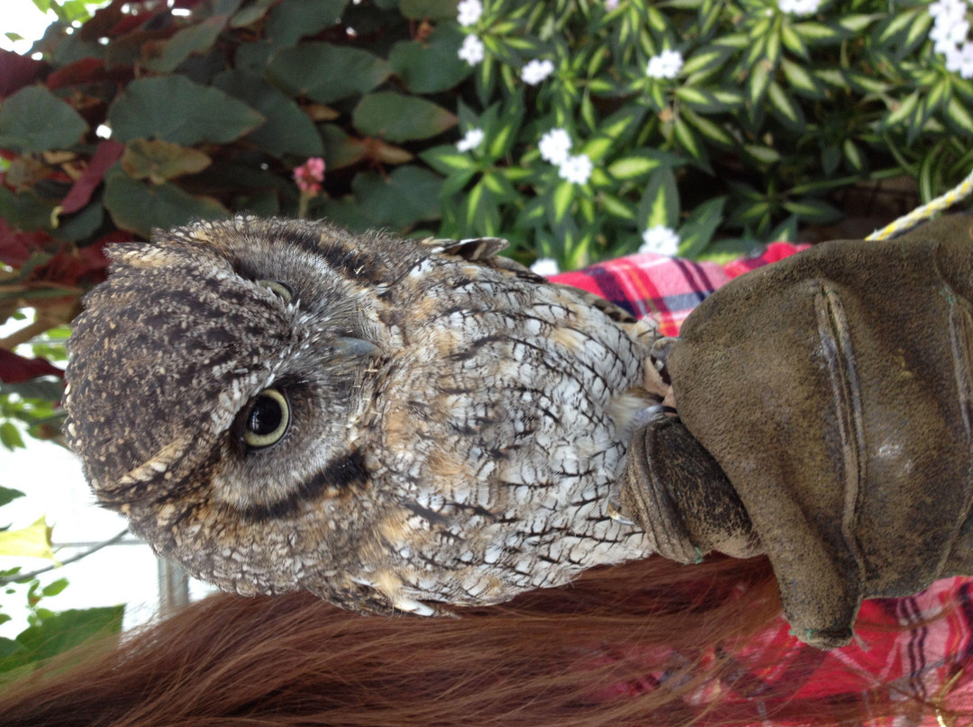 神戶動物王國-神户市必去景点