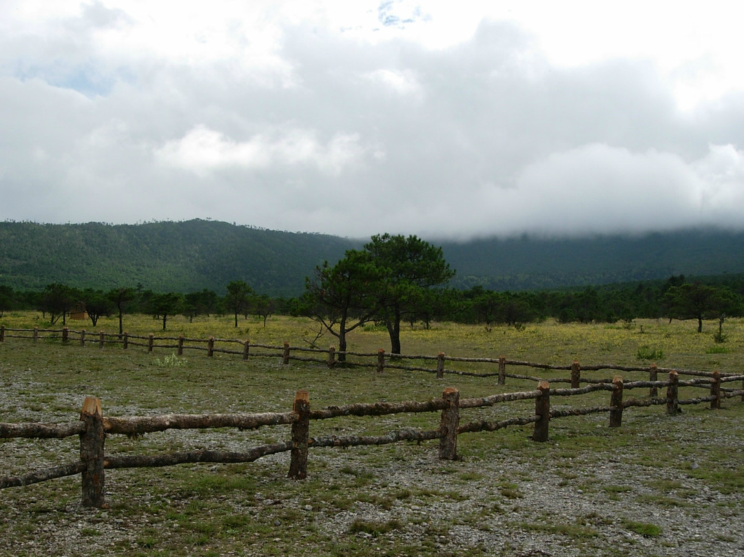 甘海子牧场-玉龙纳西族自治县必去景点