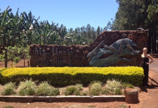 Mt. Uncle Distillery-凯恩斯必去景点