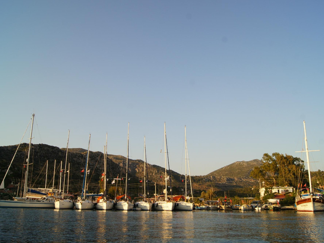 Sogut餐馆和美食-Captain's Table