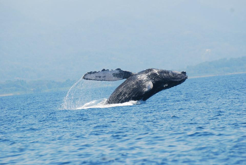 Costa Rica Te Enamora-乌维塔必去景点