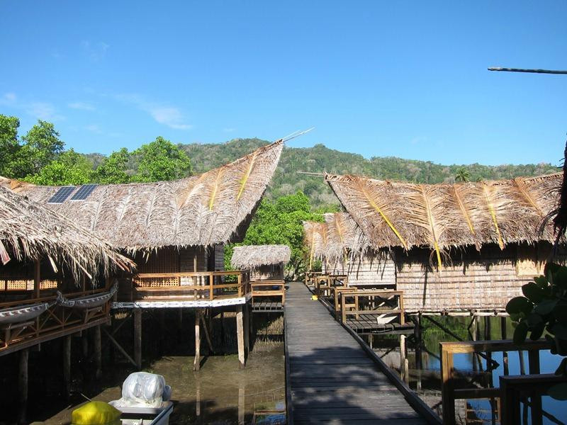 Nuli Sapi