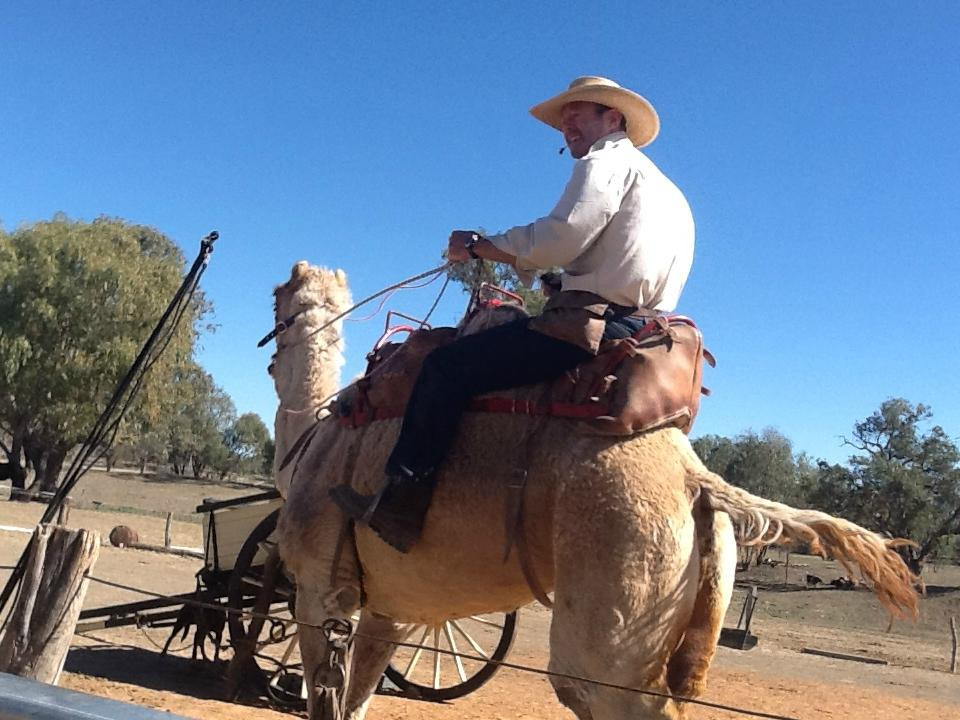 Back O'Bourke Visitor Information & Exhibition Centre-Bourke必去景点