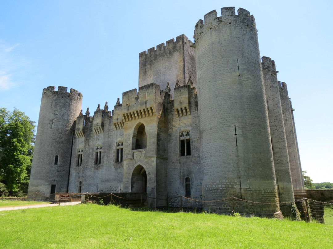 Chateau de Roquetaillade景点图片