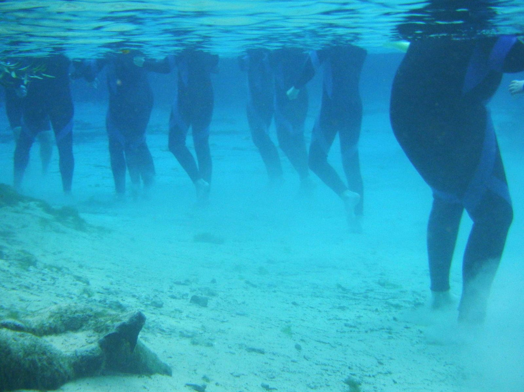 Crystal River National Wildlife Refuge-克里斯特尔里弗必去景点