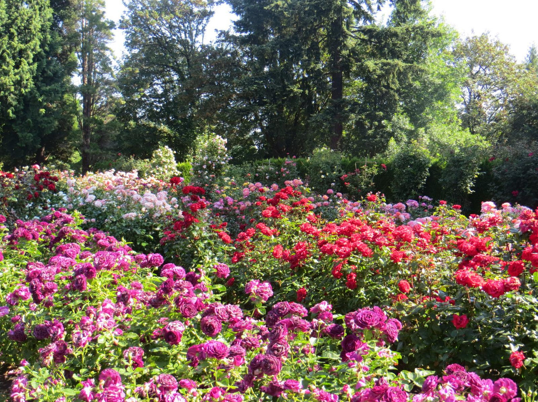 华盛顿公园-波特兰必去景点