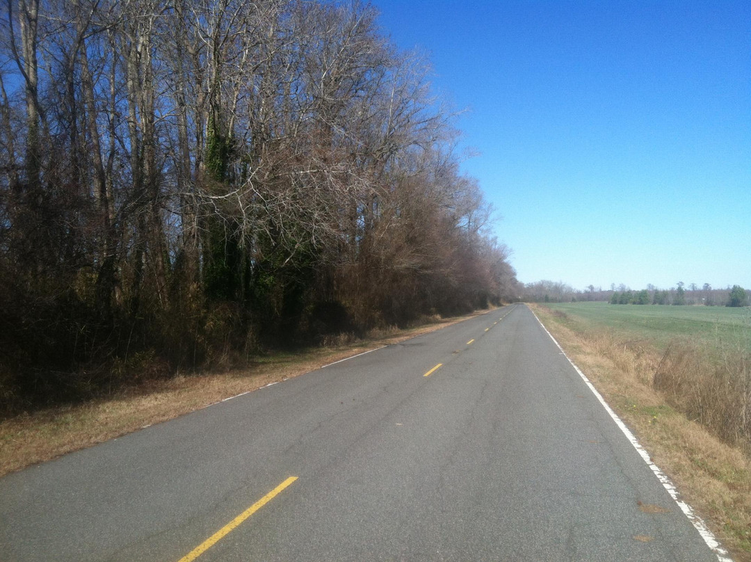 Dismal Swamp Canal Trail景点图片