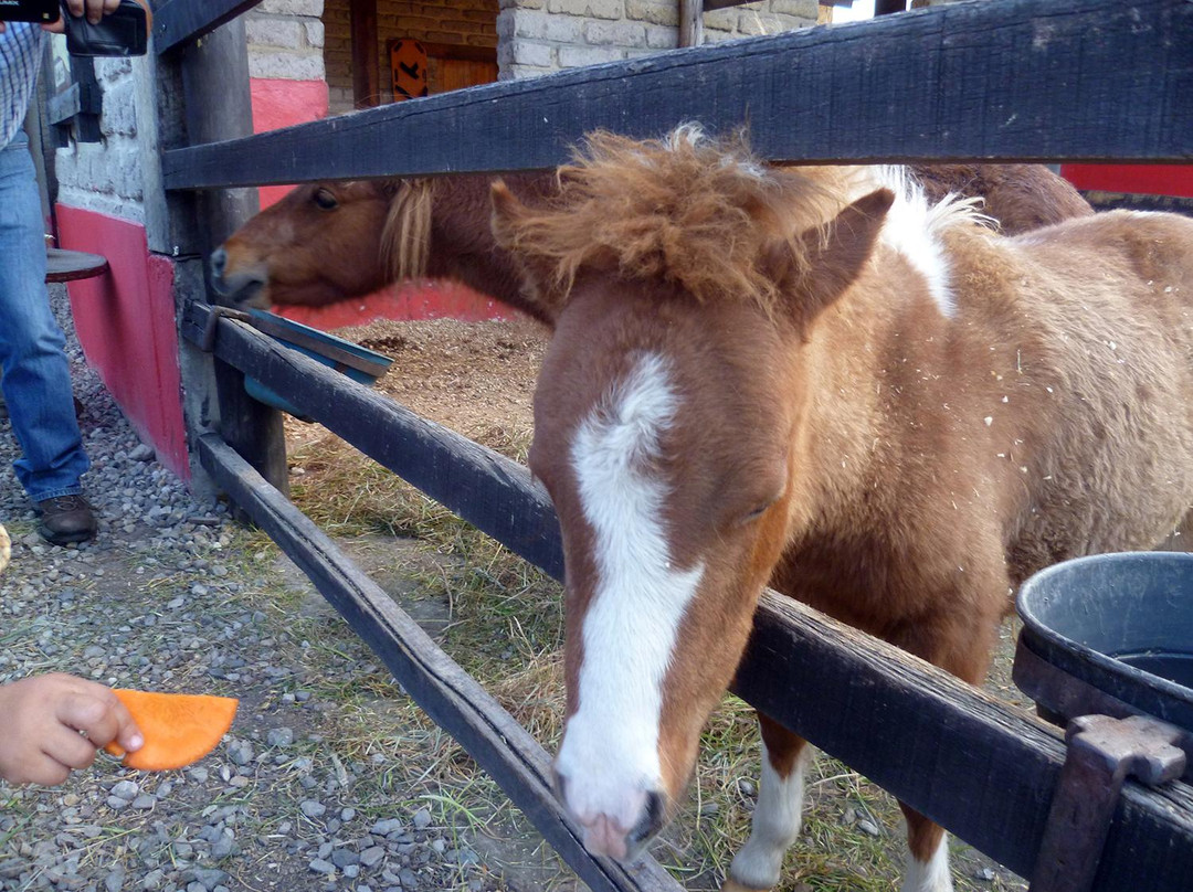 Multiparque-波哥大必去景点
