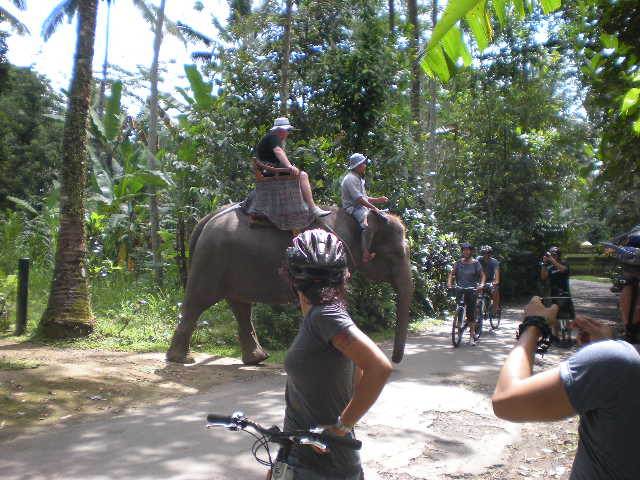 Bali Culture Tour - Private Tours景点图片