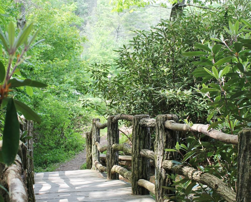 Highlands Biological Station, Nature Center and Botanical Gardens景点图片