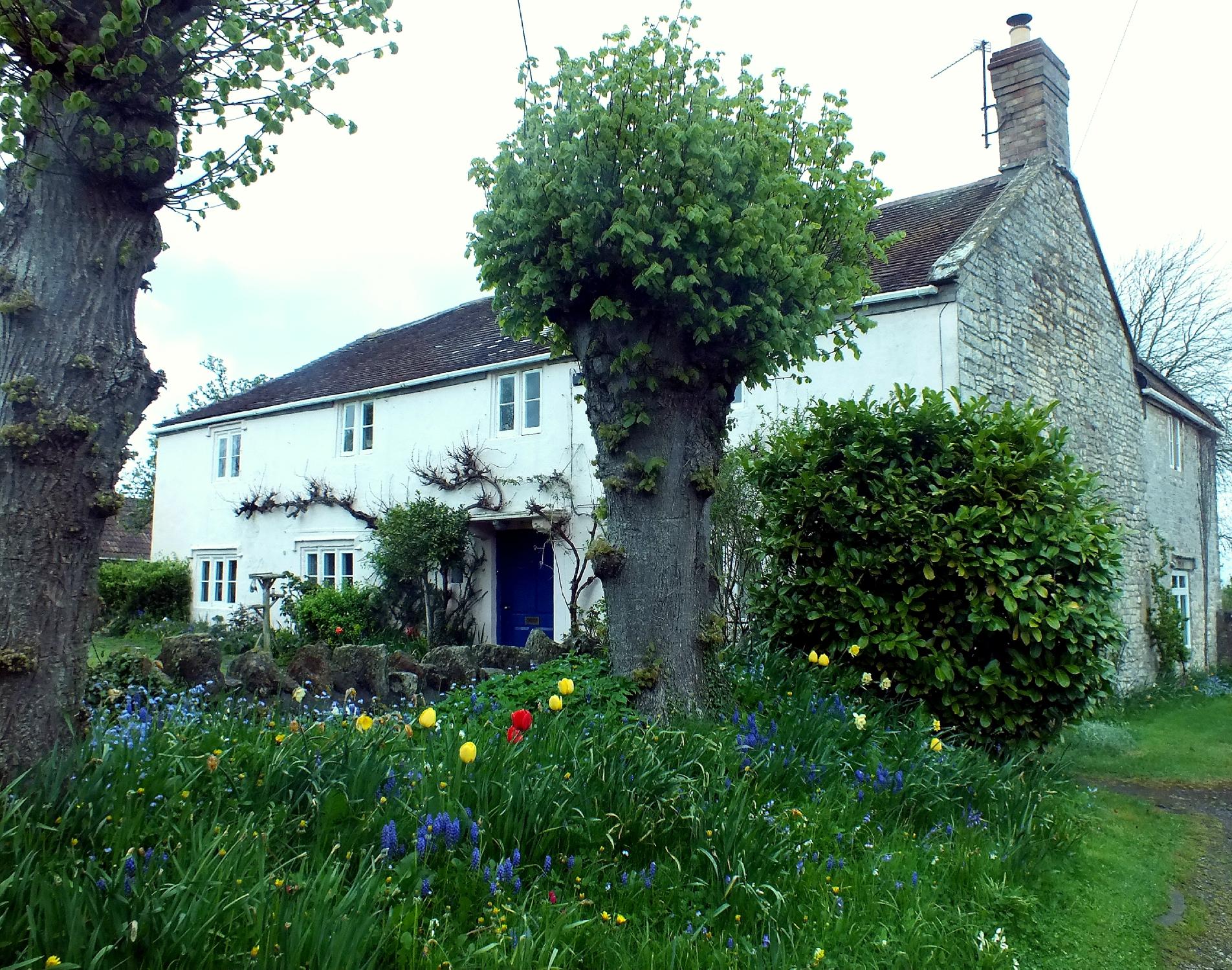 Melon Cottage Vineyard-浴室