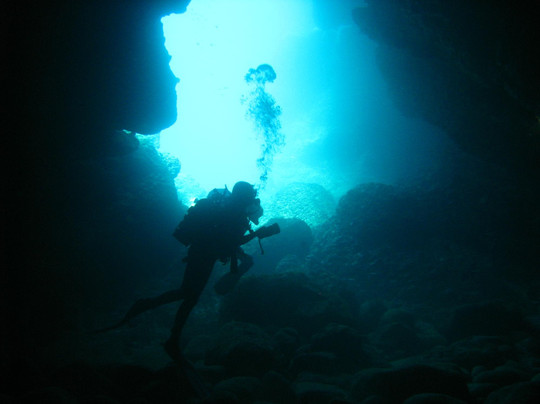 Diving Porto Conte-阿尔盖罗必去景点