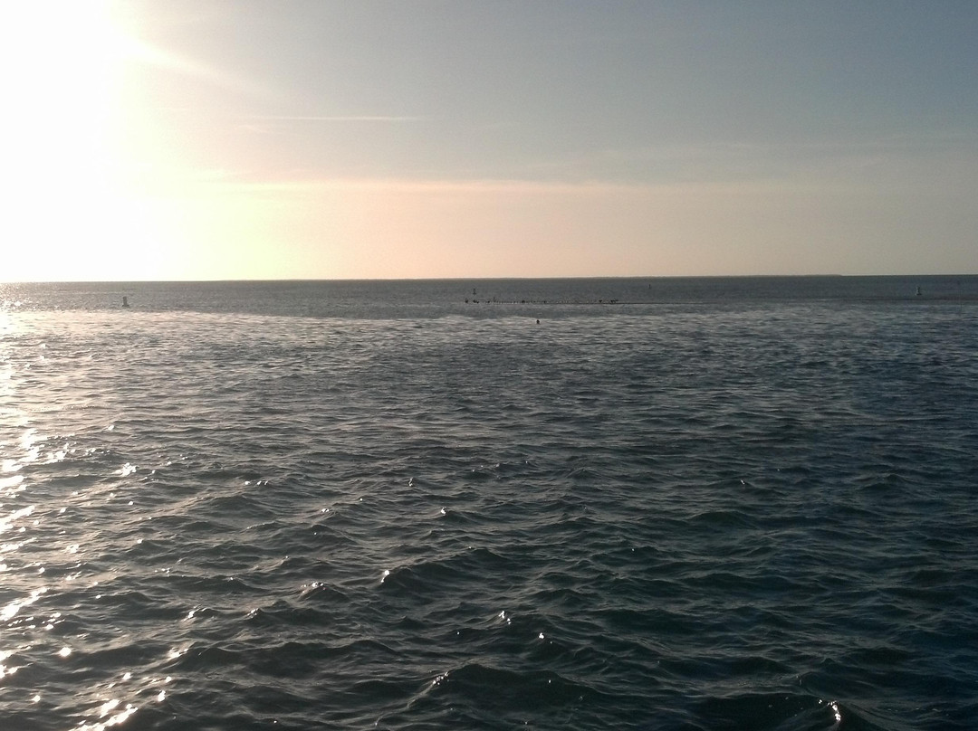 Sunset Sail Key West-基韦斯特必去景点