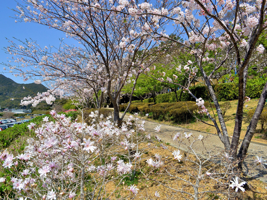Takigashira Park-田原市必去景点
