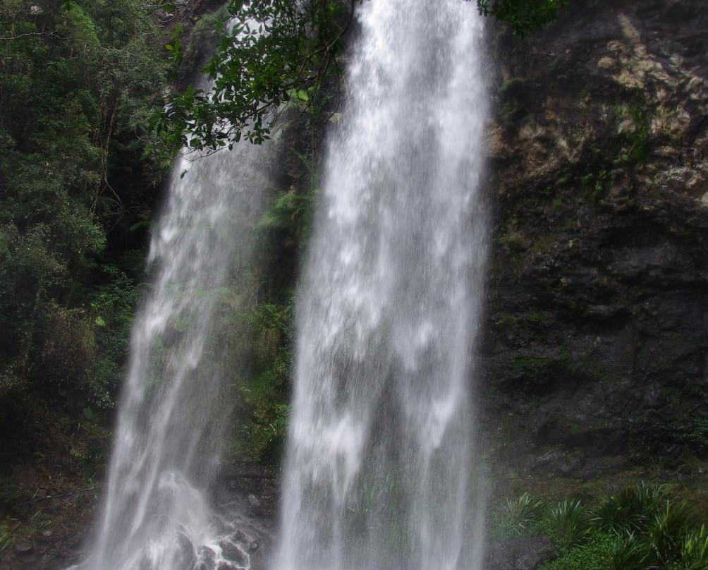 Bushwacker Ecotours-布里斯班必去景点