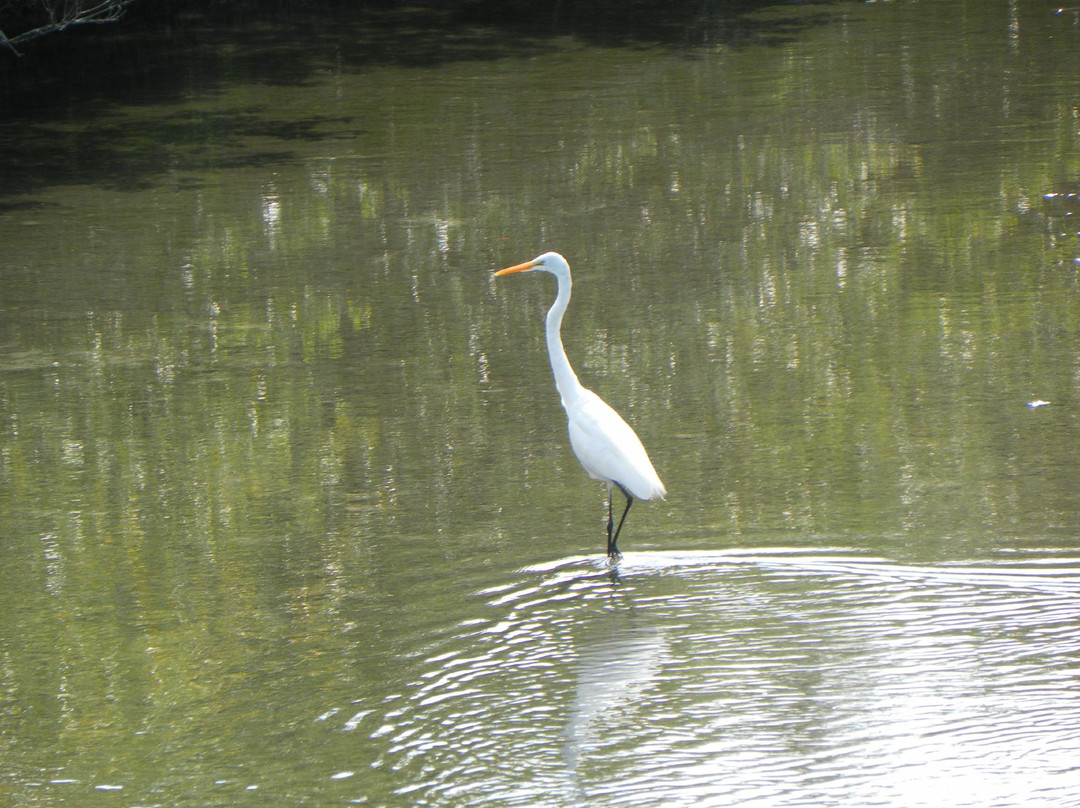 Betty Steflik Memorial Preserve-Flagler Beach必去景点