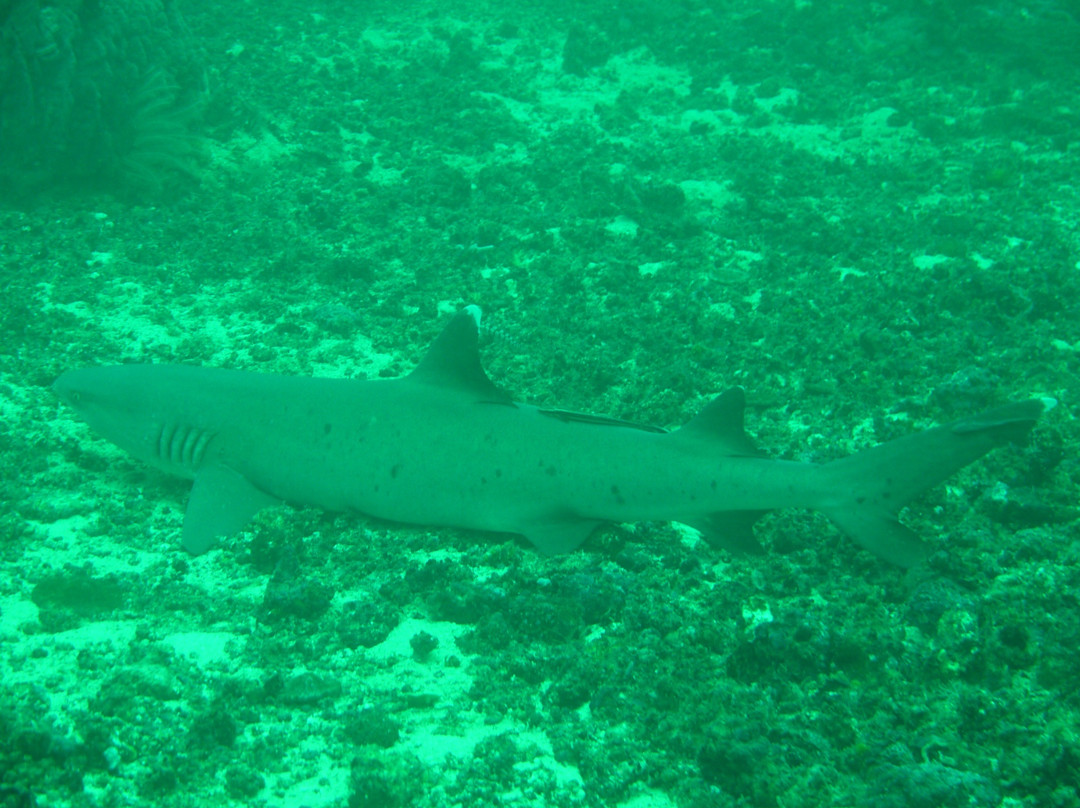 Boracay Island Divers-长滩岛必去景点