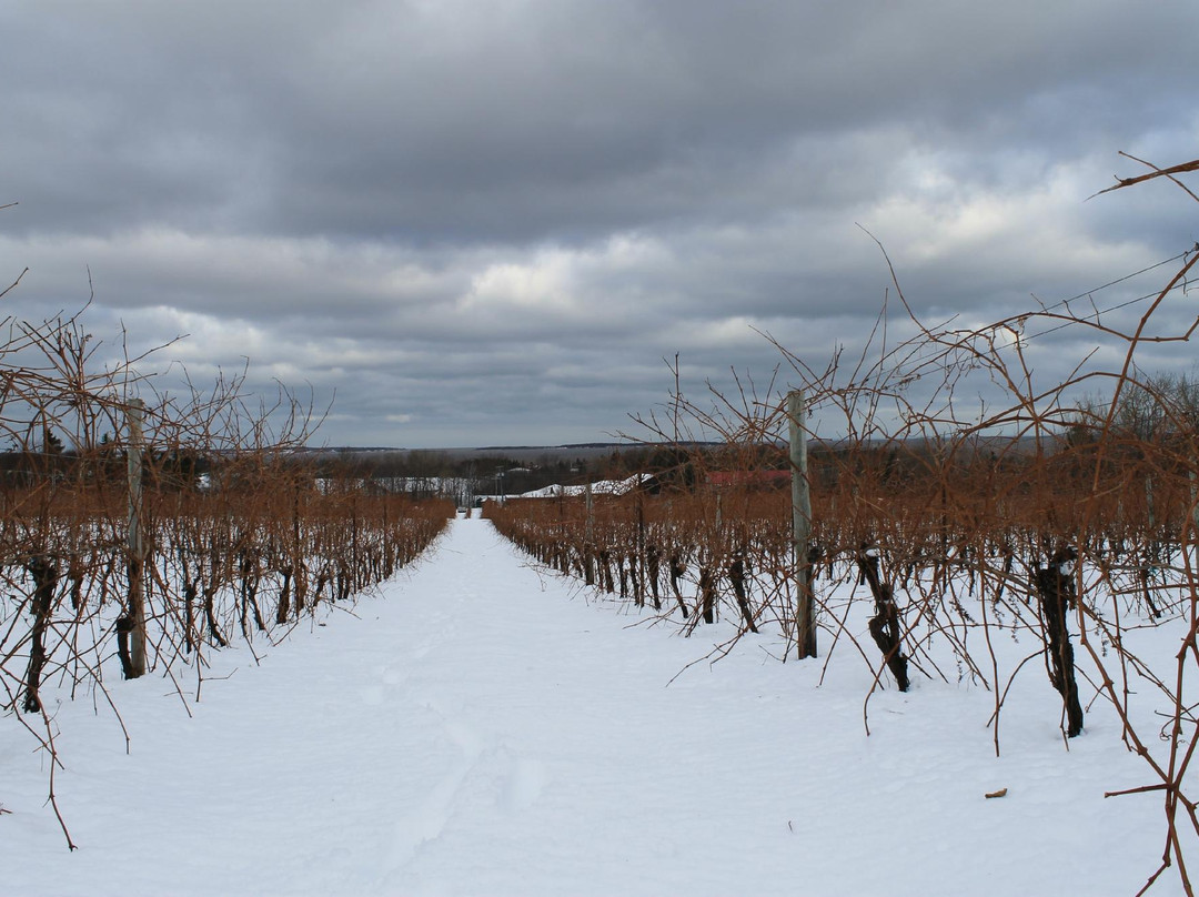 Jost Vineyards-Malagash必去景点