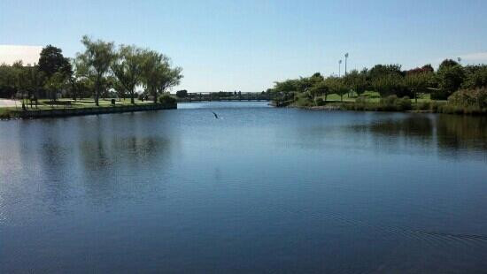 Northside Park-大洋城必去景点