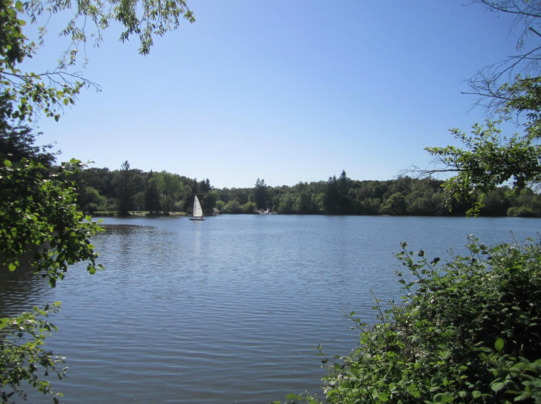 Spring Lake Park景点图片
