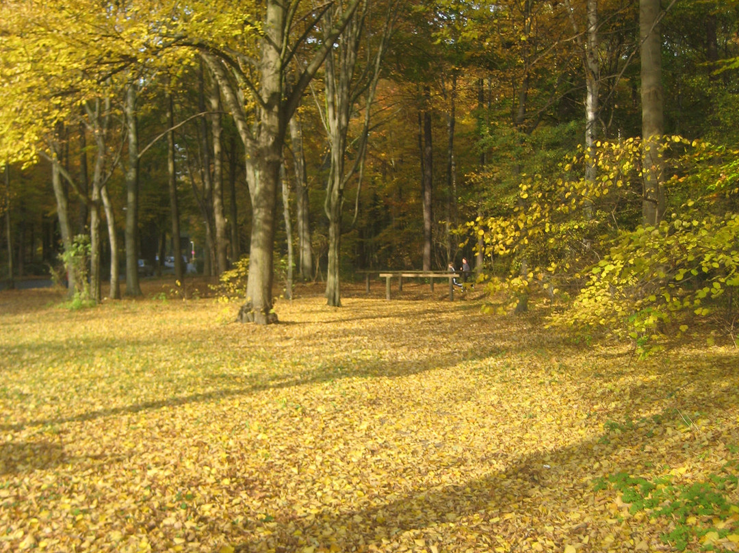 Eilenriede City Forest-汉诺威必去景点