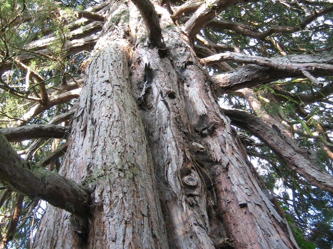 Chaudenay旅游攻略图片