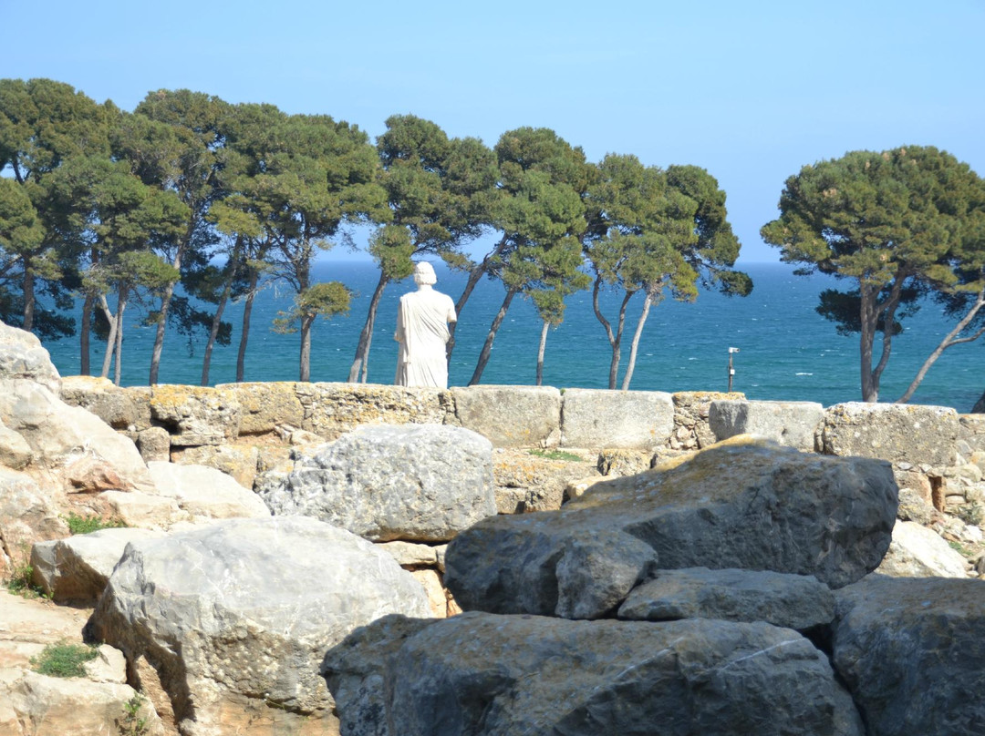 Ruïnes d'Empúries景点图片