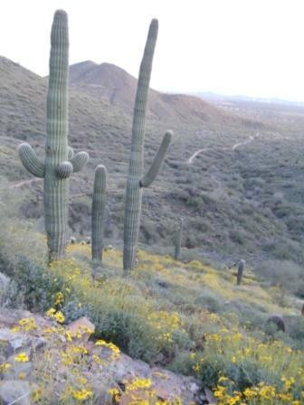 Cave Creek Regional Park-洞溪必去景点
