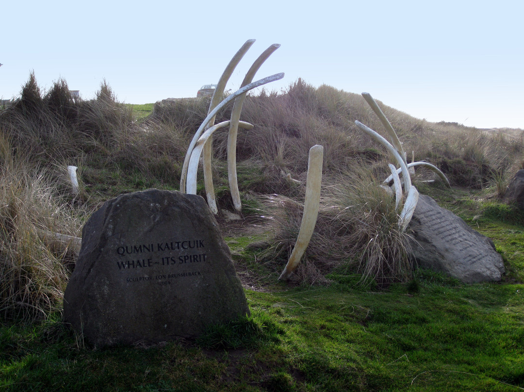 Don & Ann Davis Park-纽波特必去景点