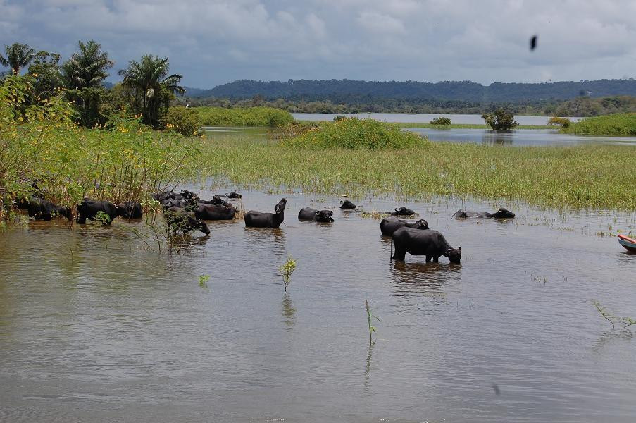 Maica Lake-Santarem必去景点