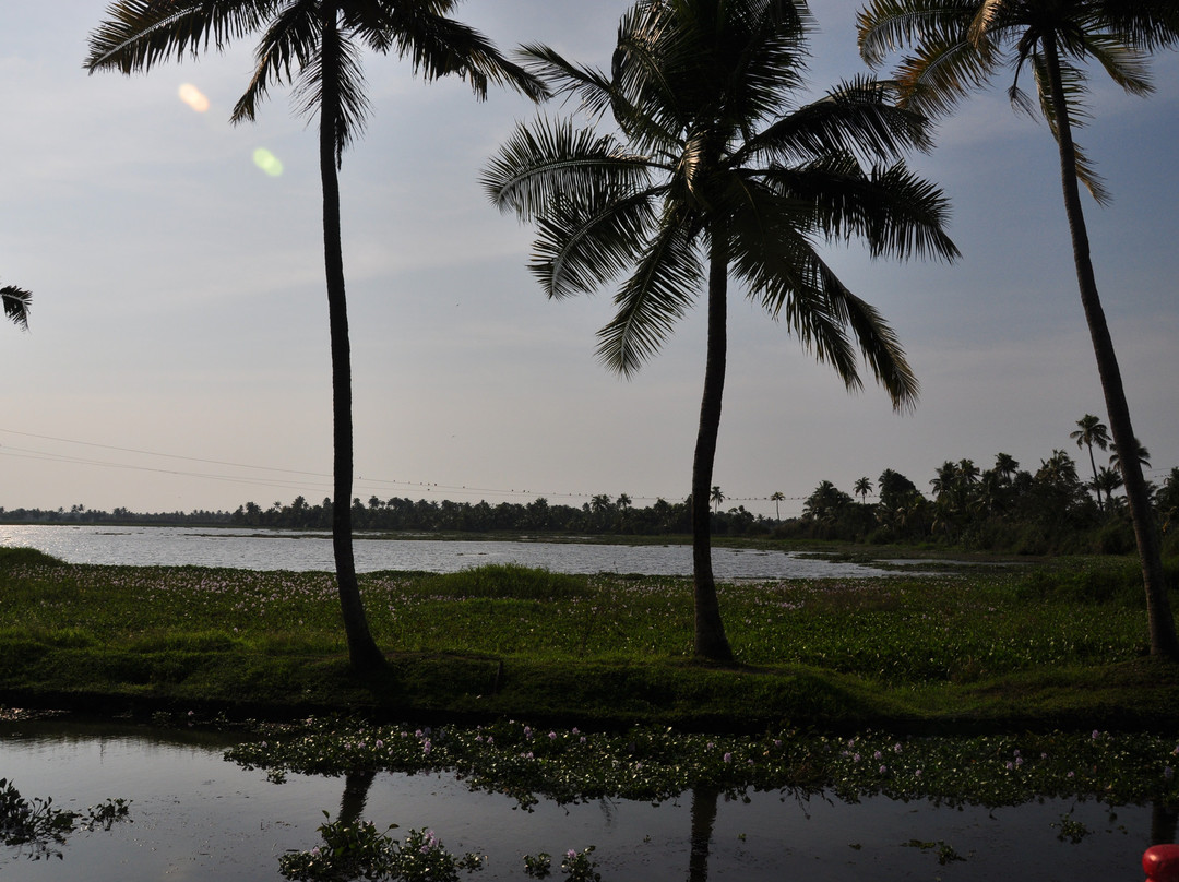 Vembanad Lake-卡拉拉必去景点