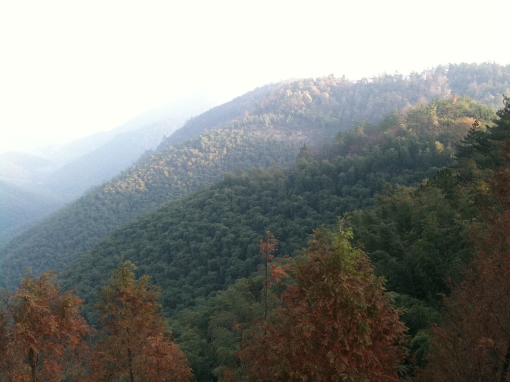 莫干山别墅群-德清县必去景点