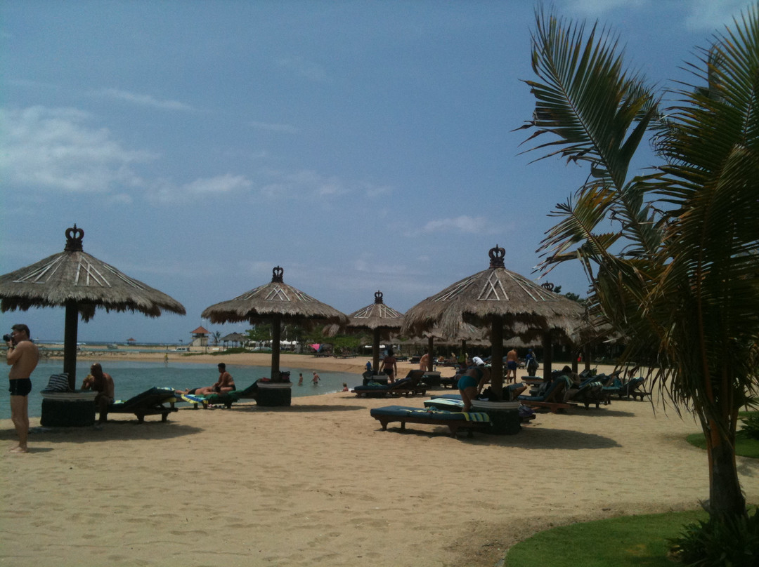 Deluang Sari Turtle Conservation Center-南湾必去景点