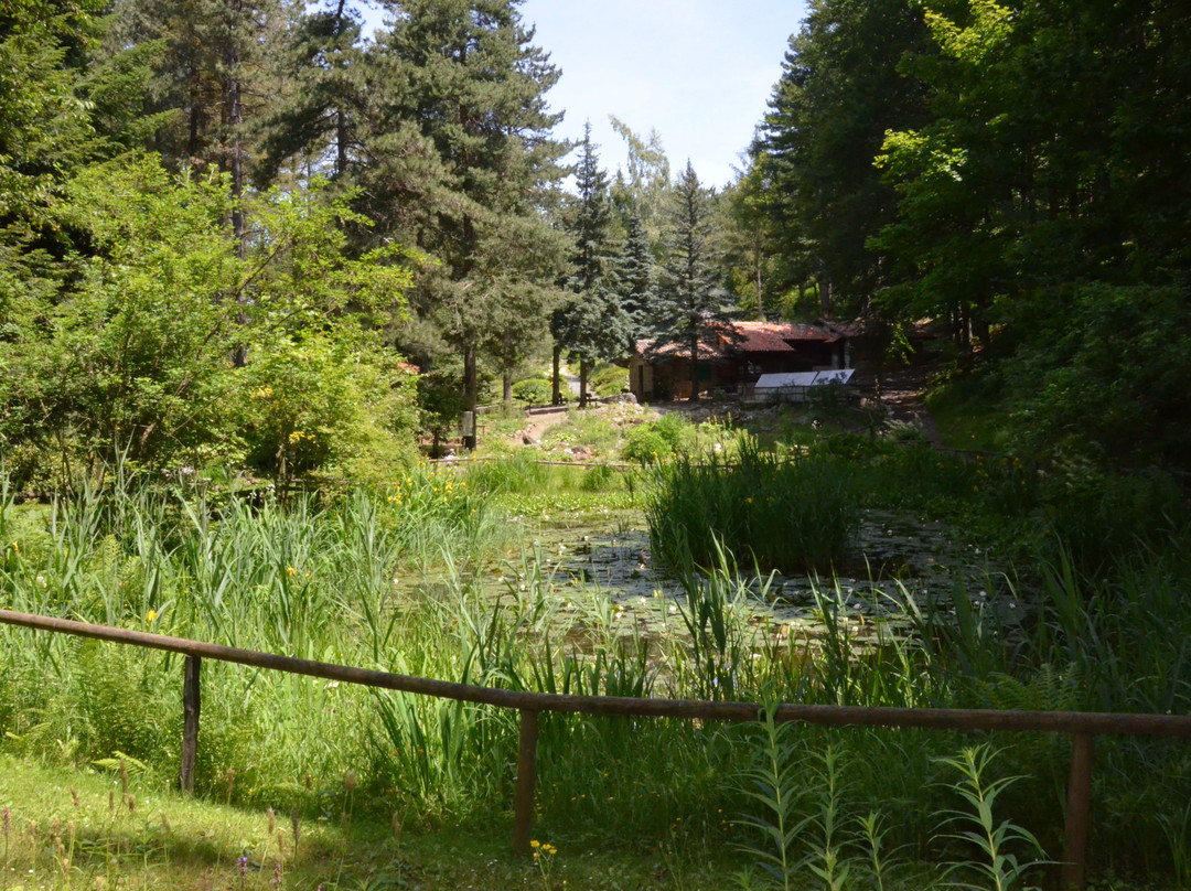 Giardino Botanico Di Pietra Corva景点图片