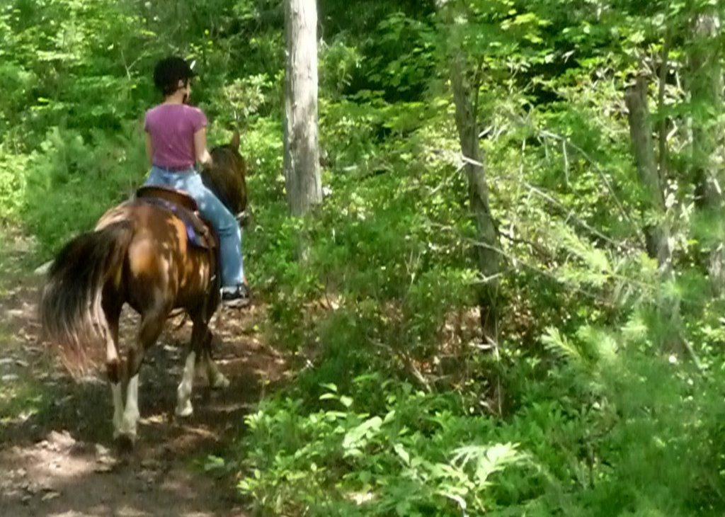 Cornerstone Ranch-Princeton必去景点