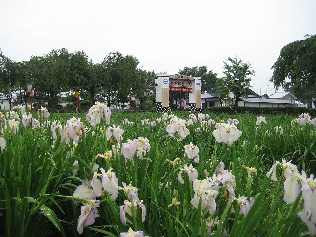 Asamai Park-横手市必去景点
