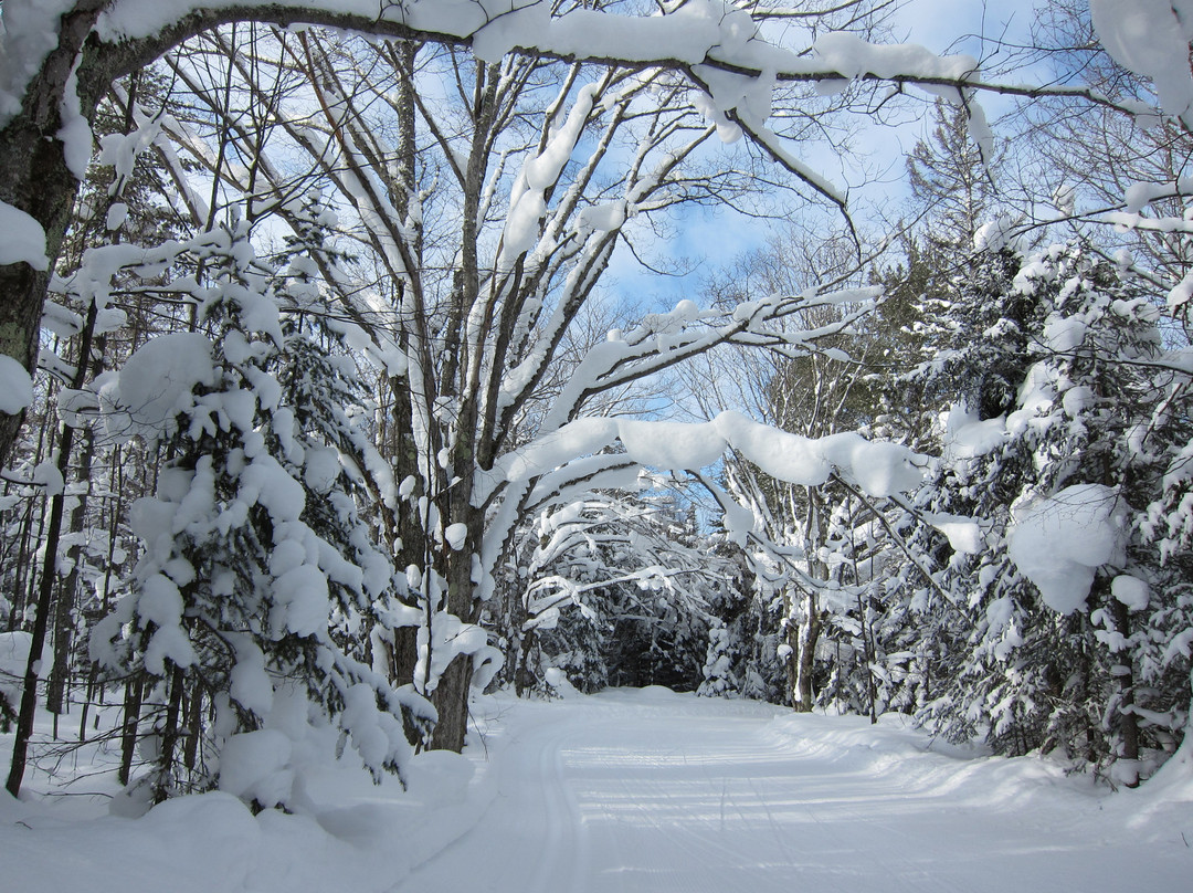 Swedetown Ski Trails-Calumet必去景点