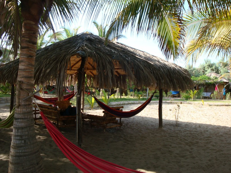 Laguna Surf Camp