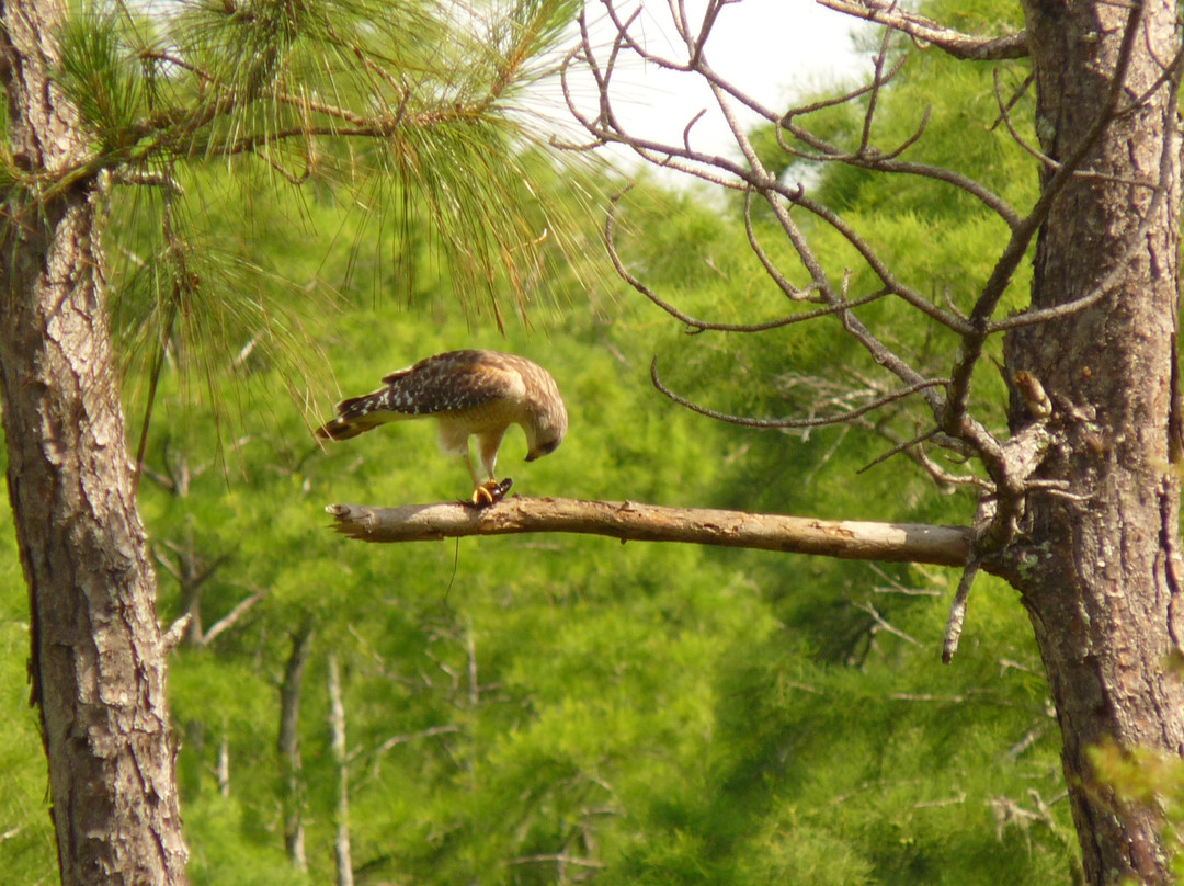 螺旋沼泽鸟兽禁猎区-那不勒斯必去景点