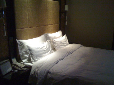 丽呈君顿酒店(重庆观音桥店)-客卧